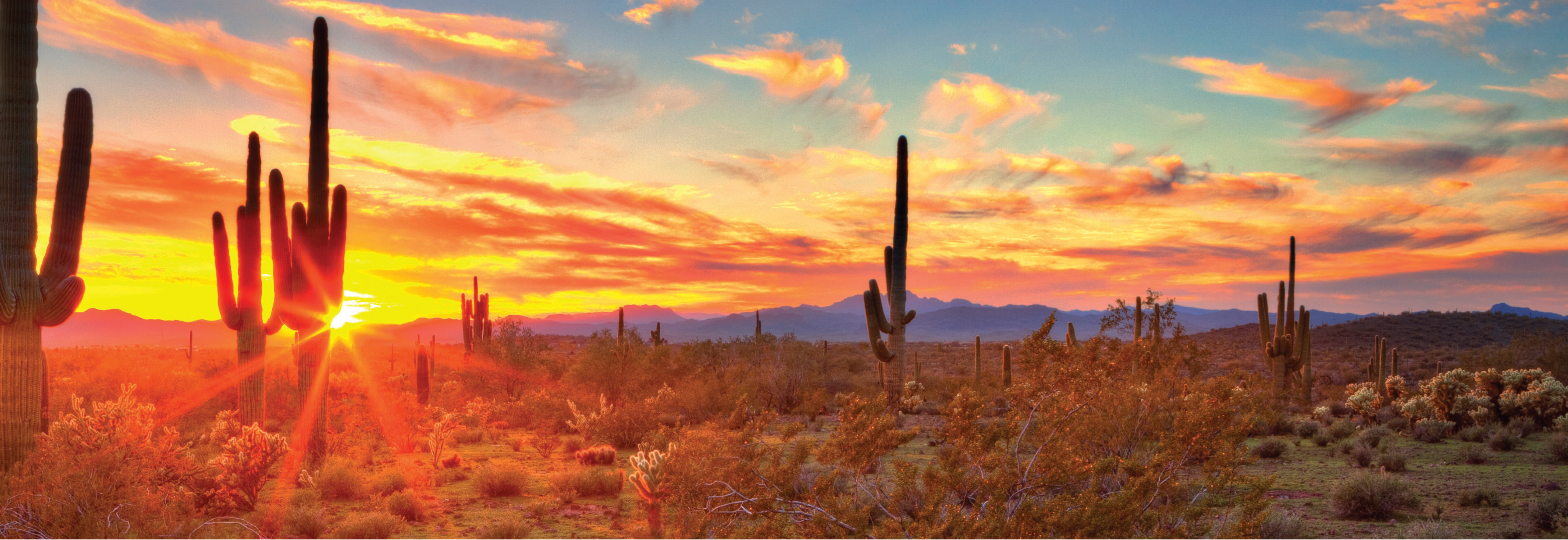 Sonoran Winter Conference